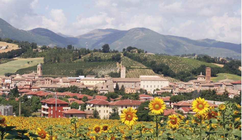 Matelica, tra le Spighe Verdi 2021