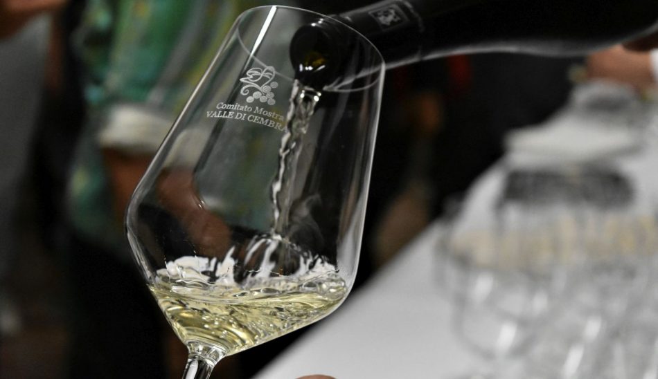 Il Trentino celebra il “Müller Thurgau: Vino di Montagna”