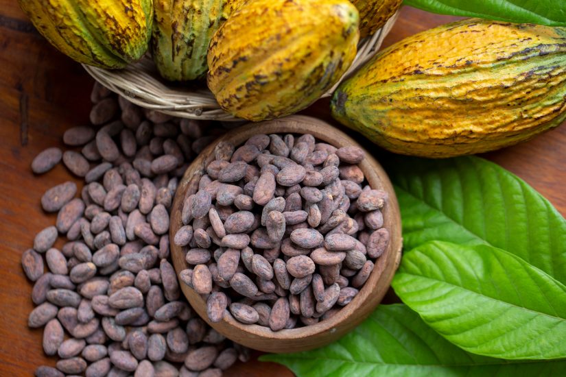 È boom del “green packaging”: +60% nel mondo entro il 2028, crescita anche in Italia