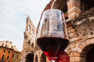 Signorvino si “riscopre” enoteca: nei nuovi store niente ristorazione, solo bottiglie da asporto