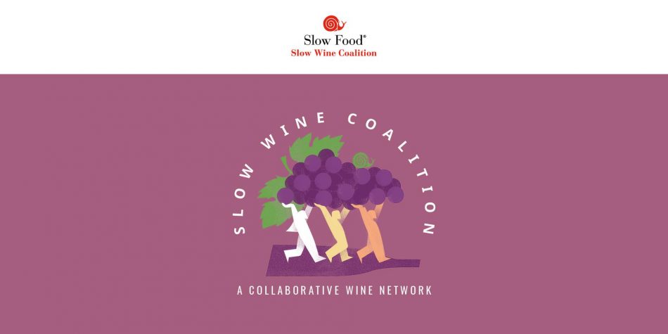 Nasce la “Slow Wine Coalition”, per una “nuova rivoluzione del mondo vitivinicolo”