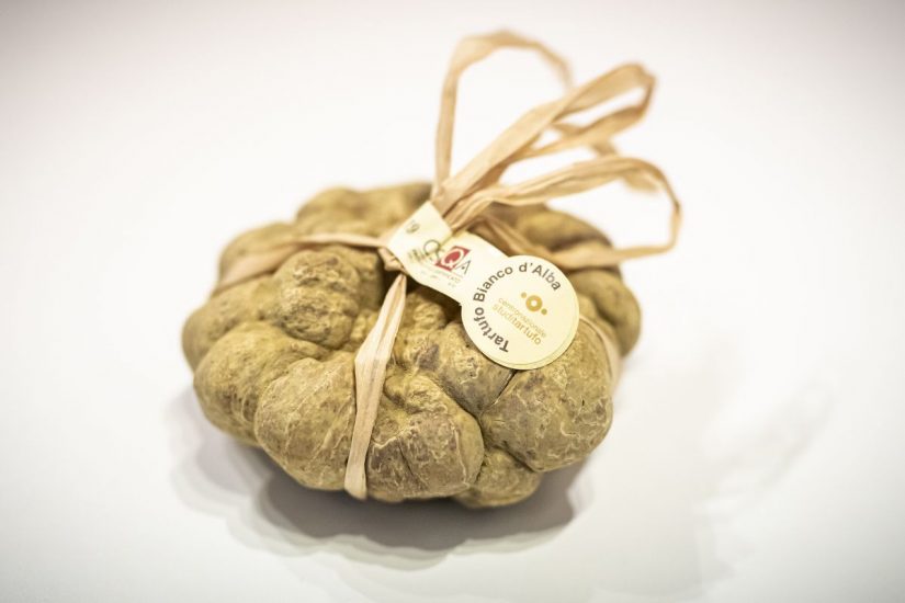 ll Tartufo bianco di Alba: Credits Tino Gerbaldo & Giorgio Perottino/Getty Images