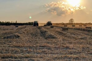 Agricoltura, 600 milioni di euro per l&rsquo;acquisto di beni strumentali per le Pmi