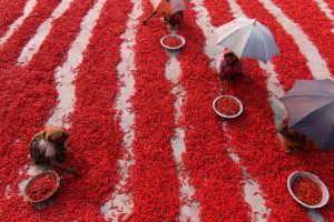 Il Premier Draghi: “dobbiamo trasformare il modo in cui pensiamo, produciamo e consumiamo cibo”