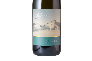Vallone, Salento Igp Fiano Tenuta Serranova 2020