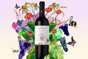 La prima etichetta in realtà aumentata per il primo secolo di vita: la scelta di Varvaglione1921