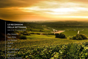 I Vini di WineNews - N. 162