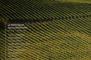 I Vini di WineNews - N. 165