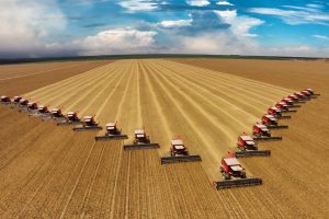 Con la svolta green l’agricoltura europea rischia un crollo della produzione tra il 5% e il 15%