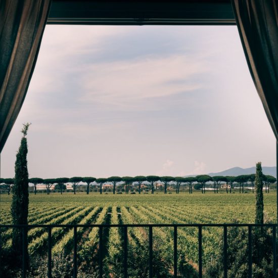 Il 2021 è l’anno dell’en primeur biennale “Bolgheri Divino”