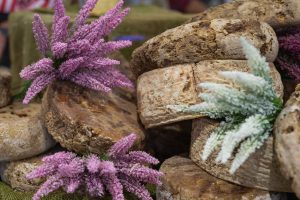 Non latte, ma latti: uno dei pi&ugrave; forti simboli di biodiversit&agrave; declinato al plurale a &ldquo;Cheese 2021&rdquo;