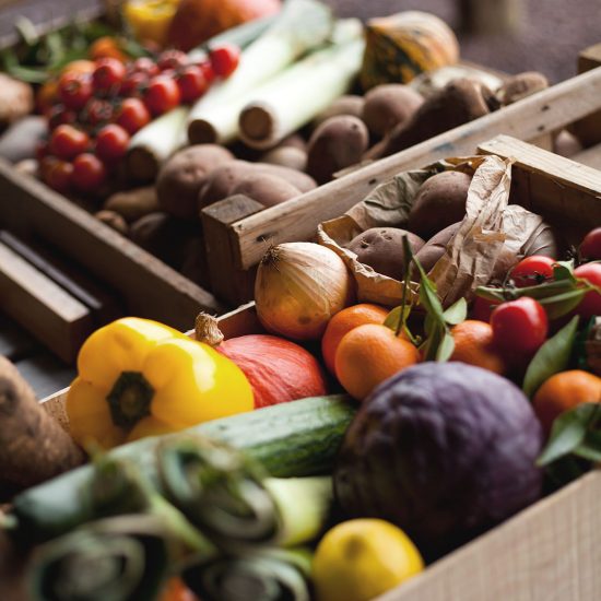 “Cibus”, il Salone internazionale dell’alimentazione a Parma