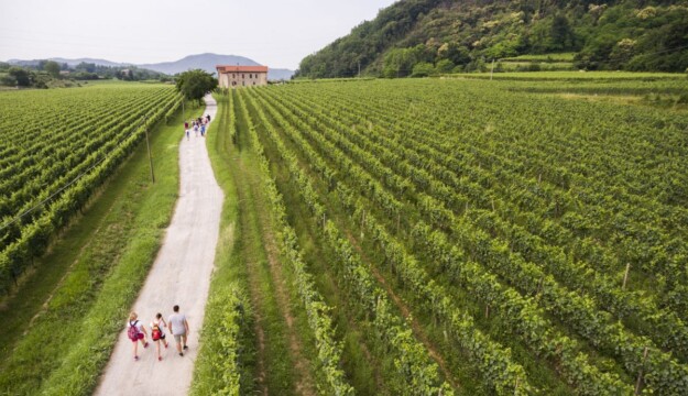 Franciacorta, il mercato tiene nel 2025, con 18,9 milioni di bottiglie. Export a +5,3% sul 2024