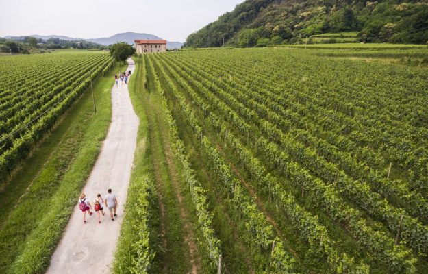 BOLLICINE ITALIANE, CONSORZIO FRANCIACORTA, EMANUELE RABOTTI, EXPORT, FRANCIACORTA, METODO CLASSICO, Italia