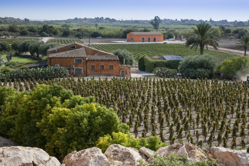 Feudo Maccari ospita Viviana Varese e il suo tour benefico