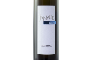 La Guardiense, Dop Sannio Falanghina Janare Senete 2016