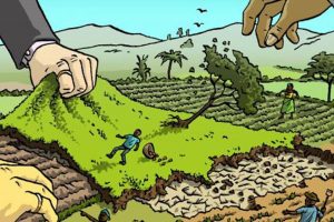 I numeri del “Land Grabbing”, che impoverisce la Terra e le comunità contadine