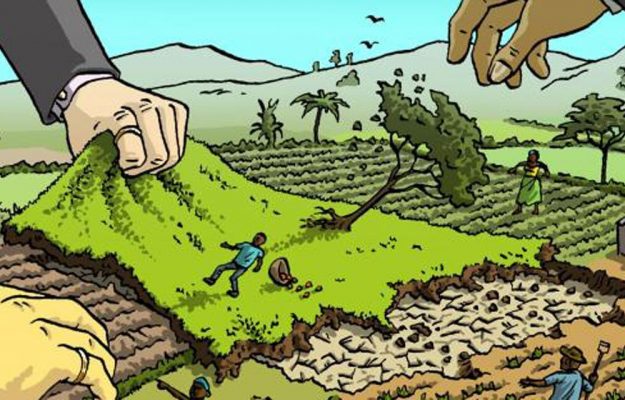 I numeri del “Land Grabbing”, che impoverisce la Terra e le comunità  contadine - WineNews
