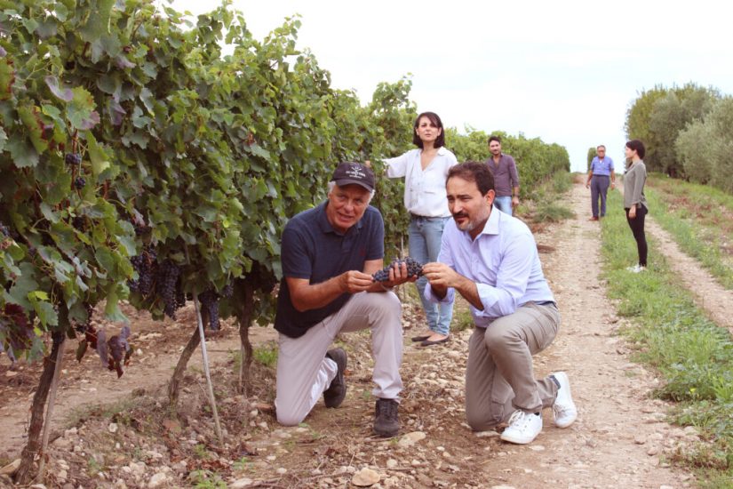 Michele Placido tra i filari