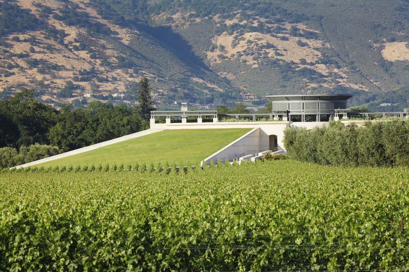I vigneti di Opus One, simbolo del vino di California