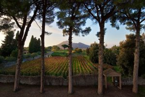 Campania “Semper Felix”, tra le nuove annate dei suoi vini, tanti chef stellati e bellezze Unesco