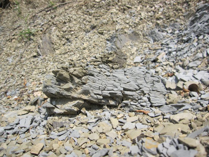 Il terreno de La Ponca a Scriò, nel Collio