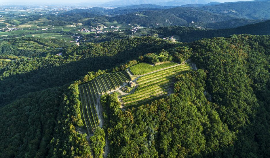 I vigneti de La Ponca a Scriò, nel Collio