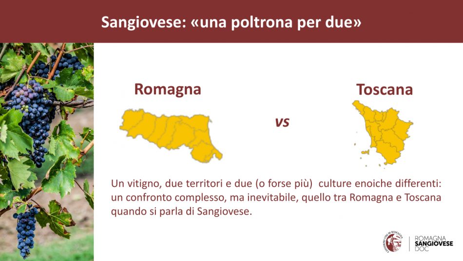Il Sangiovese a confronto tra Romagna e Toscana