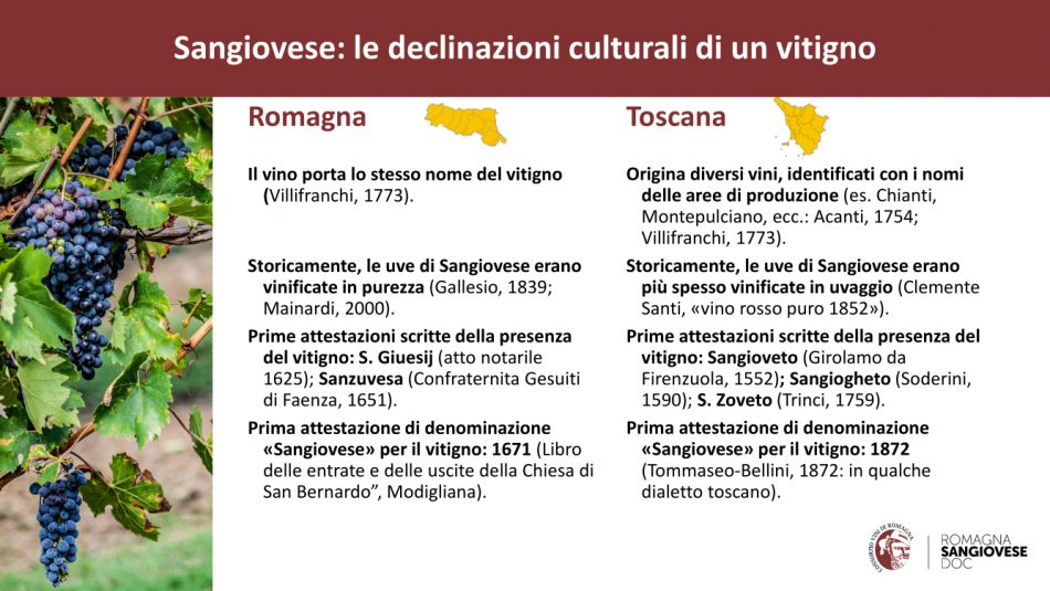 Il Sangiovese a confronto tra Romagna e Toscana