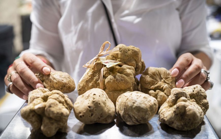 Il Tartufo Bianco di Alba (credits: Tino Gerbaldo & Giorgio Perottino/Getty Images)