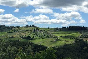Between Tuscany and Piedmont (Langhe): the wines to invest in today according to “Wine Lister”
