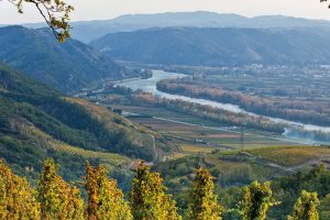 Tra Bordeaux, Borgogna e Champagne, i valori dei vigneti di Francia nel 2020