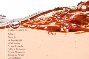 I Vini di WineNews - N. 168