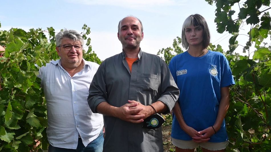 Quando il vino è inclusione: studenti e detenuti vendemmiano insieme nelle vigne di Torrevilla