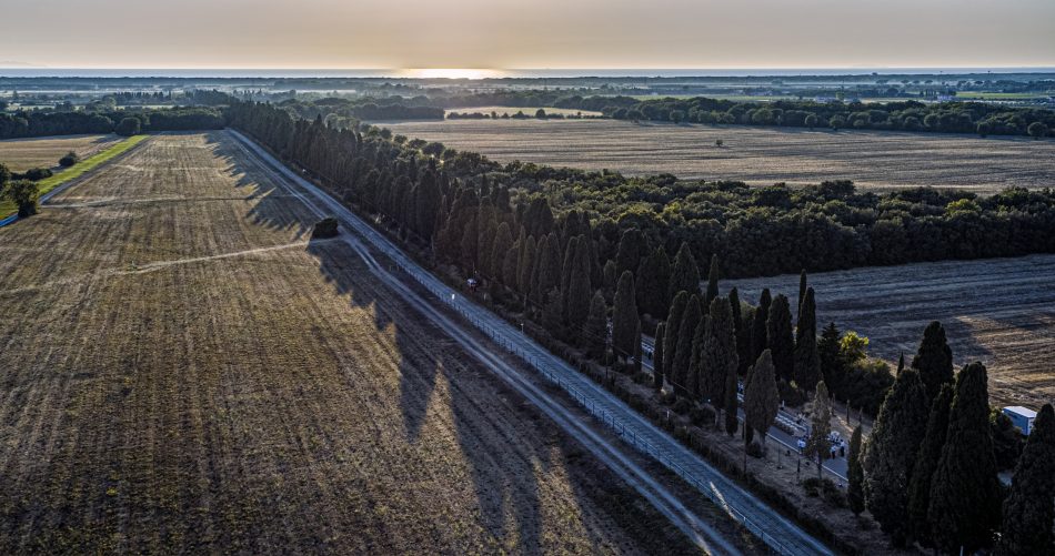 Bolgheri, terra di libertà, primati e pionieri. Celebrati, con la cena-record, sul “Viale dei Cipressi”
