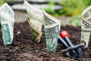 Con la pandemia aumenta il business delle agromafie. Dia: giro d’affari da 24,5 miliardi di euro