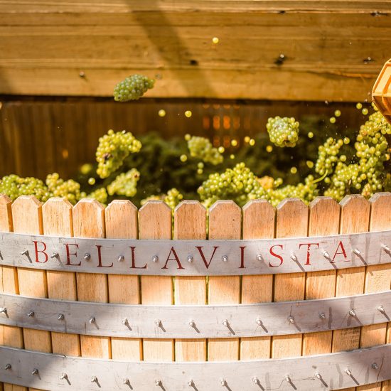 Il “Festival Franciacorta in Cantina” dalla griffe Bellavista