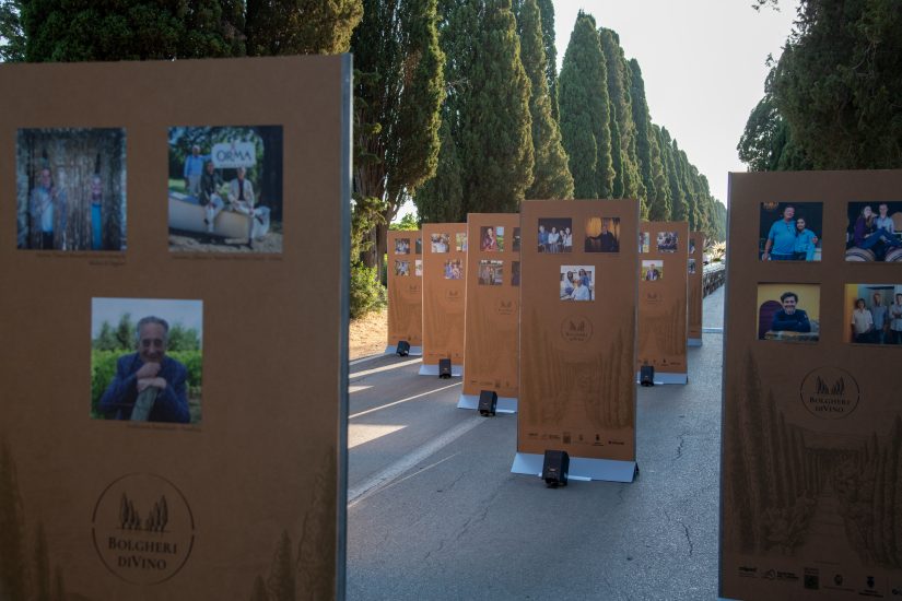 I produttori raccontati sul Viale dei Cipressi di Bolgheri