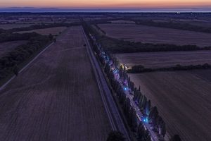Bolgheri, terra di libertà, primati e pionieri. Celebrati con la cena-record, sul Viale dei Cipressi