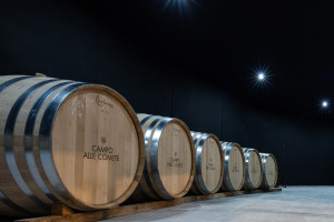 “Cantina Italia”: wine stocks, as of December 2021, amount to 62.9 million hectolitres