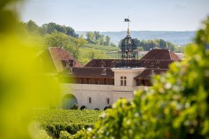 Château Angélus a processo per la scalata alla classificazione di Saint-Emilion Château Angélus a processo per la scalata alla classificazione di Saint-Emilion