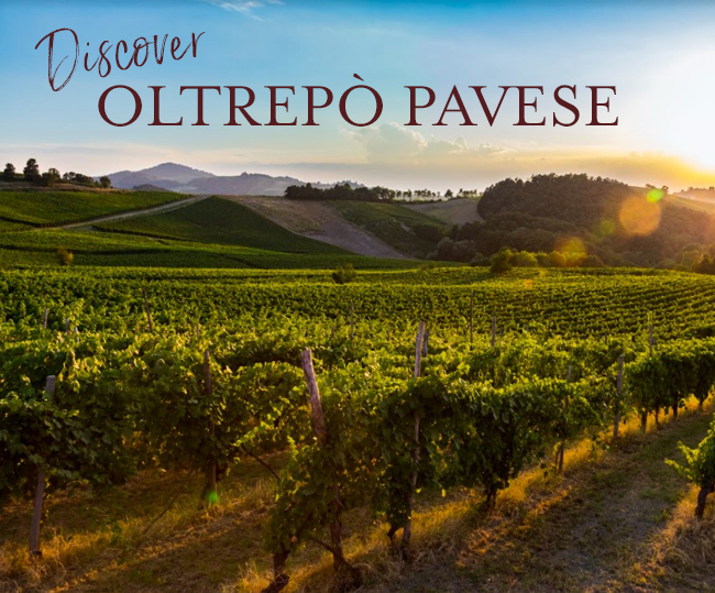 Discover Oltrepò Pavese