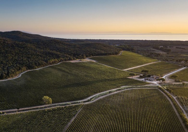 Il territorio di Bolgheri