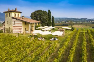 Il più grande evento di territorio chiama a raccolta i wine lovers: il “Festival Franciacorta”