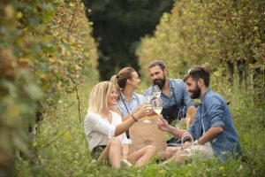 Signature bubbles in wineries and castles. The “Franciacorta Festival” is back (September 13-15)