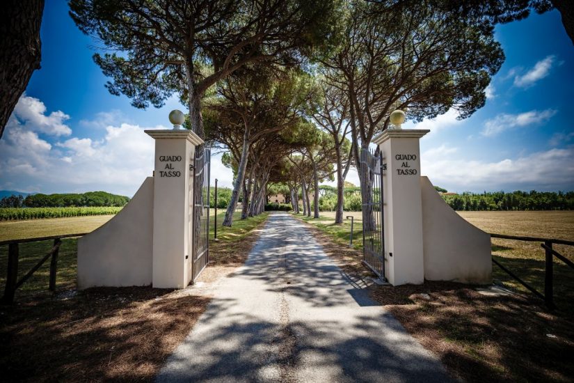 La tenuta Guado al Tasso di Antinori