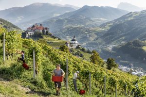 Alto Adige, terra di grandi vini bianchi e di una diversità senza pari, che punta sulla zonazione Alto Adige, terra di grandi vini bianchi e di una diversità senza pari, che punta sulla zonazione