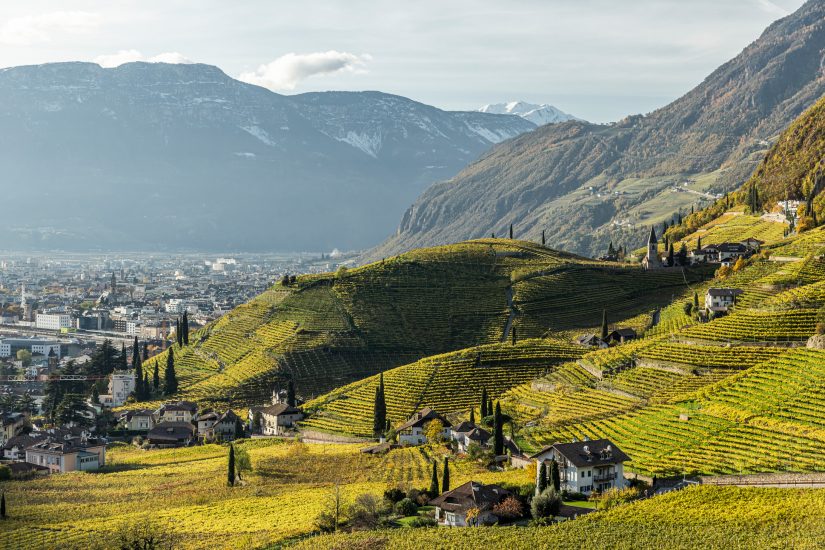 Alto Adige, terra di grandi vini bianchi e di una diversità senza pari
