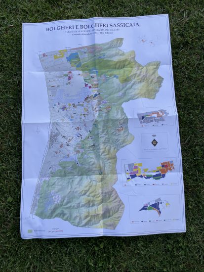 Il territorio di Bolgheri