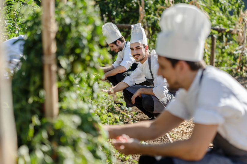 Laqua Countryside - Orto